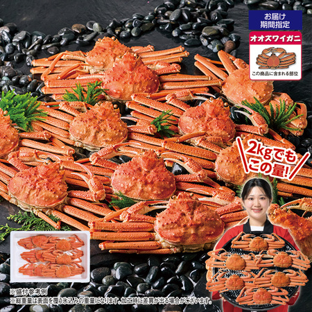 北海道産ボイルオオズワイガニ姿　２．０ｋｇ【お届け期間指定可】