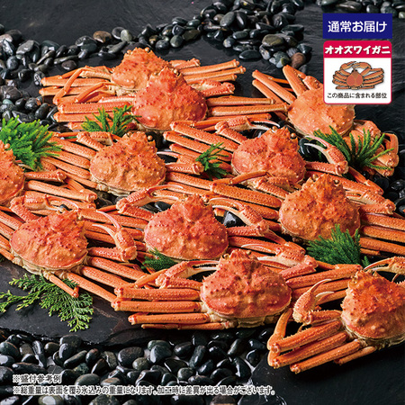 北海道産ボイルオオズワイガニ姿　４．０ｋｇ【１０日前後お届け】