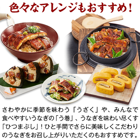 鹿児島県産お徳用カットうなぎ　９パック【１０日前後お届け】
