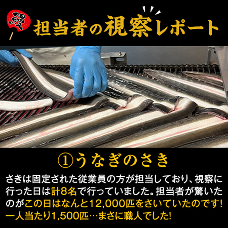 鹿児島県産お徳用カットうなぎ　１５パック【１０日前後お届け】