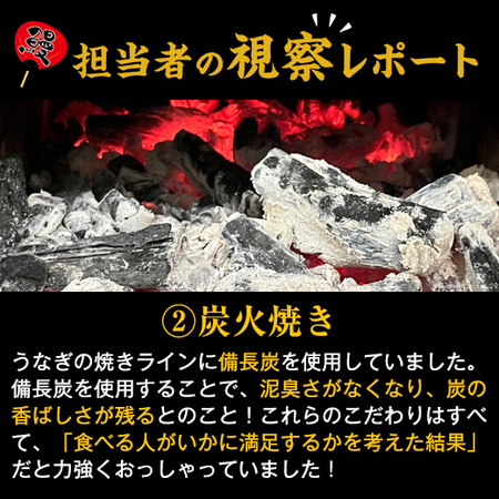 鹿児島県産お徳用カットうなぎ　１５パック【１０日前後お届け】