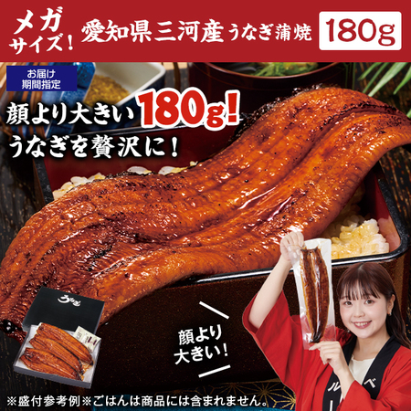 メガサイズ！愛知県三河産うなぎ蒲焼　１８０ｇ　３尾【お届け期間指定可】
