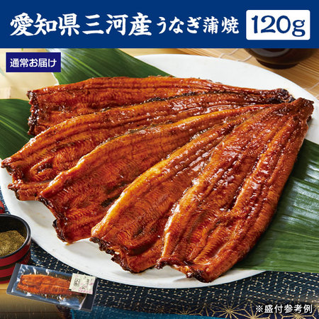 愛知県三河産うなぎ蒲焼　１２０ｇ　１尾【１０日前後お届け】