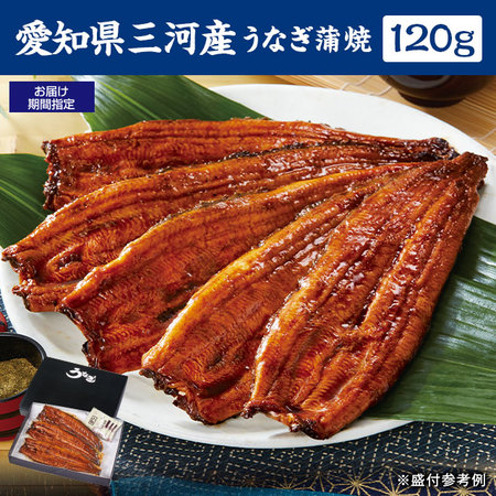 愛知県三河産うなぎ蒲焼　１２０ｇ　３尾【お届け期間指定可】