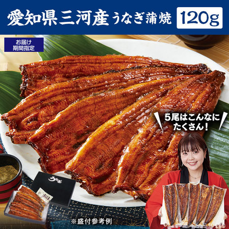 愛知県三河産うなぎ蒲焼　１２０ｇ　５尾【お届け期間指定可】