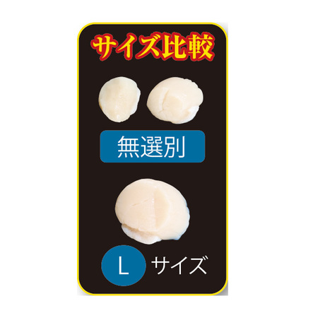 特大！北海道産おさしみほたて　Ｌサイズ　５００ｇ【お届け期間指定可】