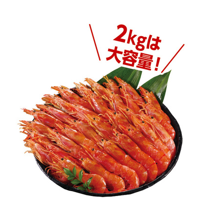 大型サイズ！おさしみエビ　２．０ｋｇ【１０日前後お届け】