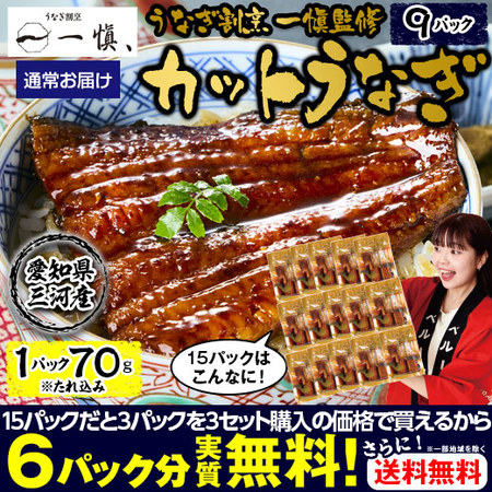 うなぎ割烹一愼監修　カットうなぎ　９パック【１０日前後お届け】