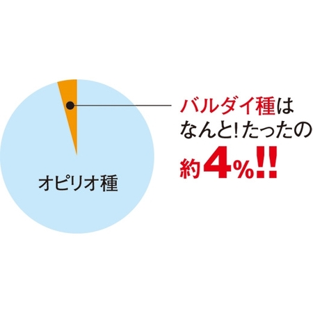 ≪お歳暮ギフト≫大ズワイガニハーフポーション１ｋｇ