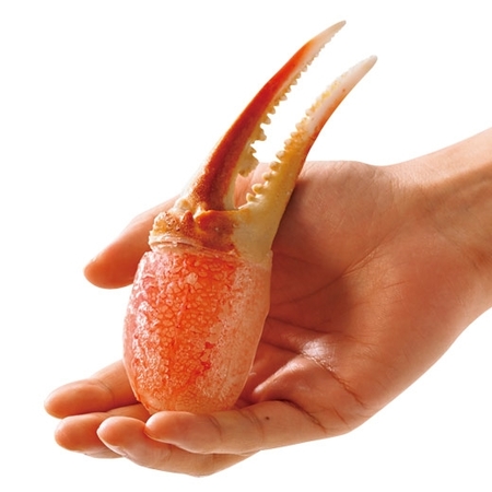 生ズワイガニ爪肉９００Ｇ