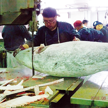 【お歳暮ギフト】三崎直送！２種のマグロ食べ比べセット