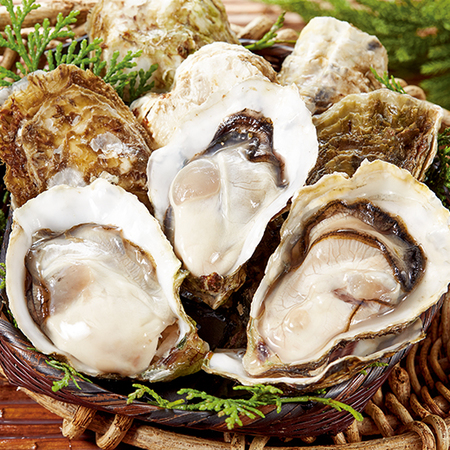 【お歳暮ギフト】志摩半島的矢湾産冷凍生かき（生食用）２袋