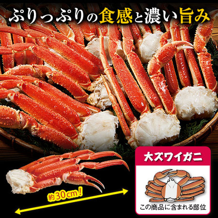 ≪早割★２，０００円オフ　お歳暮ギフト≫稀少！大ズワイガニ脚たっぷり３ｋｇ（バルダイ種）