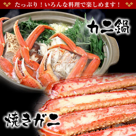 ≪早割★２，０００円オフ　お歳暮ギフト≫稀少！大ズワイガニ脚たっぷり３ｋｇ（バルダイ種）