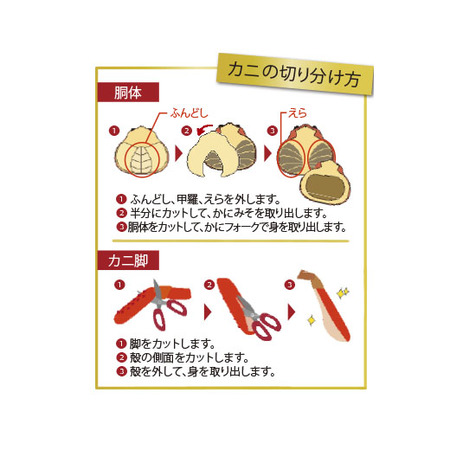 北海道産本ズワイ姿４尾