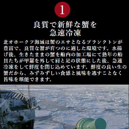 ≪早割★２，０００円オフ　お歳暮ギフト≫生ずわいがに半むき身　計１．６ｋｇ　１０月上旬よりお届け