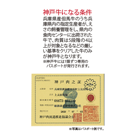 ≪お歳暮ギフト≫神戸牛肩ロースすき焼き５００ｇ