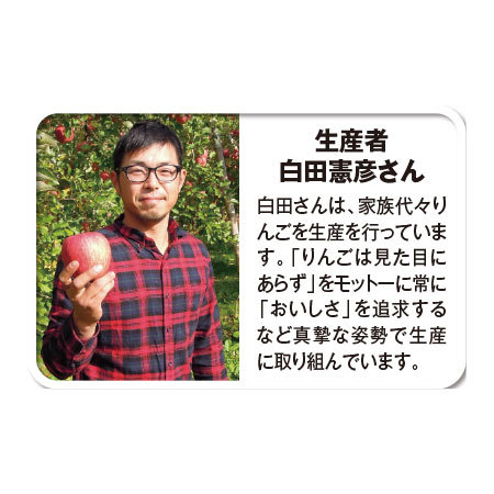≪お歳暮ギフト≫白田憲彦作　濃蜜サンふじりんご　１２月中旬より順次出荷