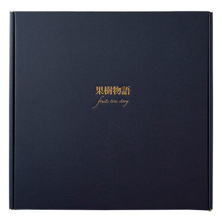 ≪お歳暮ギフト≫国産素材ドリンク＆スムージー１０本セット