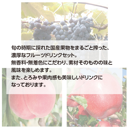 ≪お歳暮ギフト≫国産素材ドリンク＆スムージー１０本セット