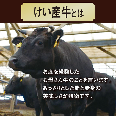 ≪お歳暮ギフト≫平松牧場の黒毛和牛ロース・かた食べ比べ８月下旬―１２月下旬