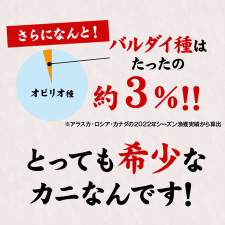 早）ボイル大ズワイガニ１．６キロバルダイ