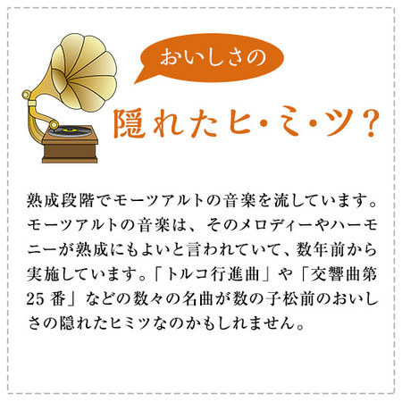 ≪超早割★１００円引き　お歳暮ギフト≫数の子松前（折れ子）８００ｇ