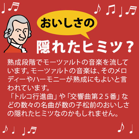 早期）数の子松前折れ子６００Ｇ