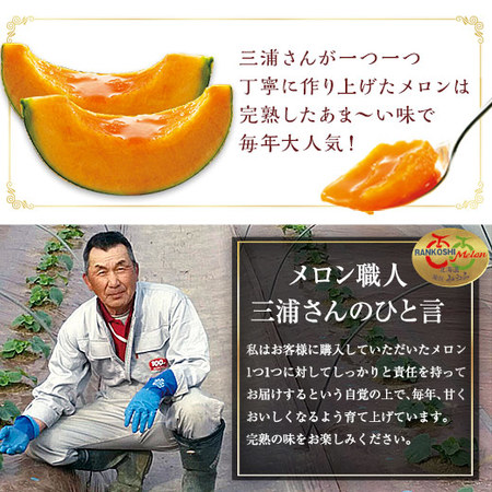 ≪超早割★６４８円引！お中元ギフト≫三浦さんのメロン（特大１玉）２ＫＧ　７月中旬ー９月上旬お届け