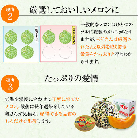 ≪超早割★６４８円引！お中元ギフト≫三浦さんのメロン（特大１玉）２ＫＧ　７月中旬ー９月上旬お届け