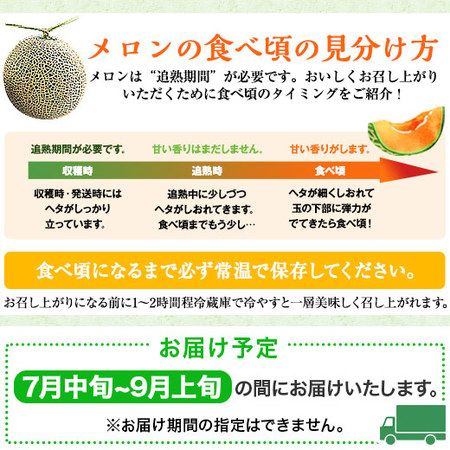 ≪超早割★６４８円引！お中元ギフト≫三浦さんのメロン（特大１玉）２ＫＧ　７月中旬ー９月上旬お届け