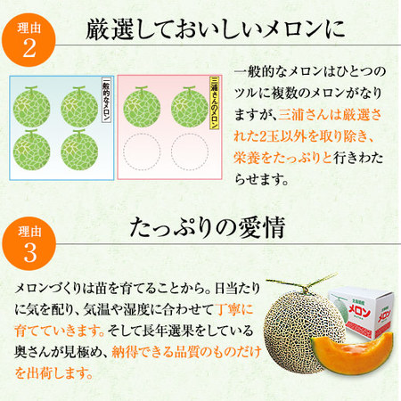 （早期）三浦さんのメロン８ＫＧ