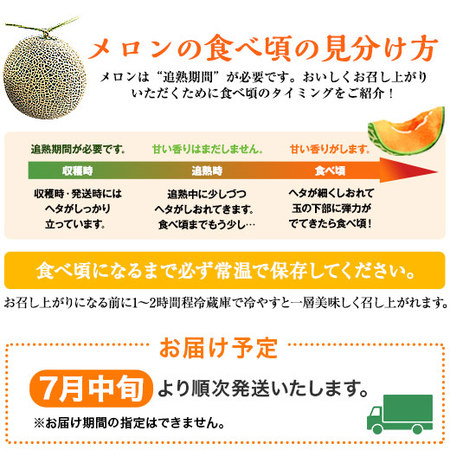 （早期）三浦さんのメロン８ＫＧ