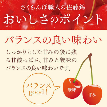 （通常）さくらんぼ職人の佐藤錦１．２ＫＧ