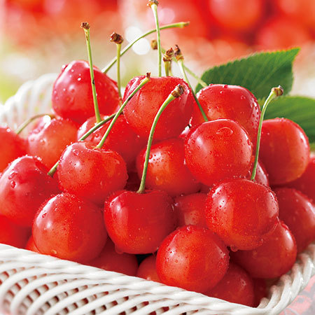 （通常）さくらんぼ職人の佐藤錦２．４ＫＧ