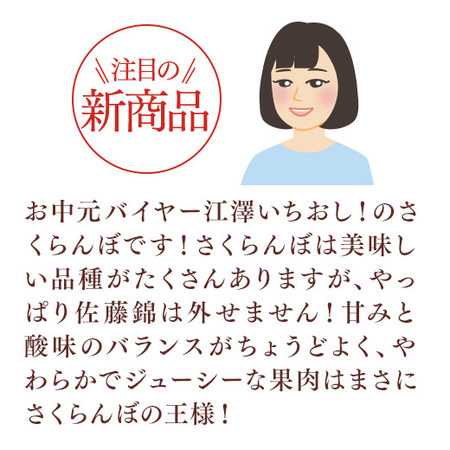 （通常）さくらんぼ職人の佐藤錦２．４ＫＧ