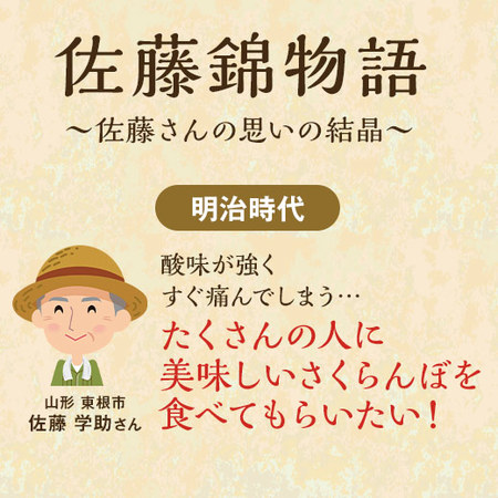 （通常）さくらんぼ職人の佐藤錦２．４ＫＧ