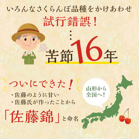 （通常）さくらんぼ職人の佐藤錦２．４ＫＧ