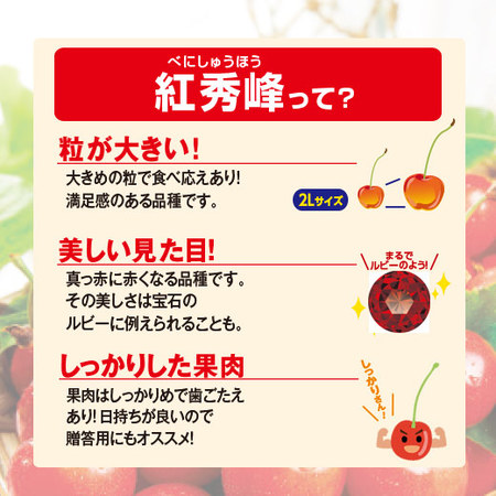 ≪お中元ギフト≫山形のさくらんぼ紅秀峰５００ｇ　６月下旬より順次