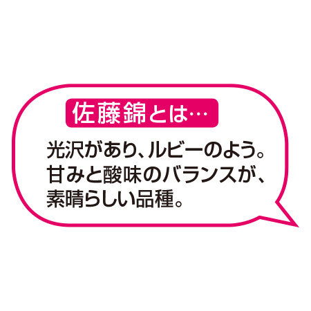 （通常）山形のさくらんぼ佐藤錦　５００Ｇ
