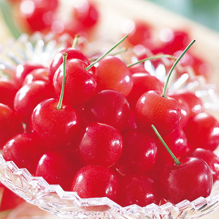 （通常）山形のさくらんぼ佐藤錦　５００Ｇ