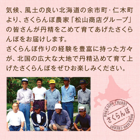 ≪超早割★１，０８０円引！お中元ギフト≫北海道のさくらんぼ　紅さとう１．６ＫＧ　７月中旬ー７月下旬