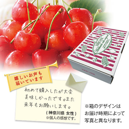≪超早割★１，０８０円引！お中元ギフト≫北海道のさくらんぼ　紅さとう１．６ＫＧ　７月中旬ー７月下旬