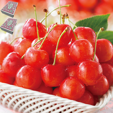 ≪超早割★１，０８０円引！お中元ギフト≫北海道のさくらんぼ　紅さとう１．６ＫＧ　７月中旬ー７月下旬