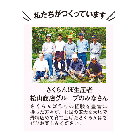 ≪早割★３００円オフ　お中元ギフト≫北海道のさくらんぼ南陽１ｋｇ　７月中旬より順次発送