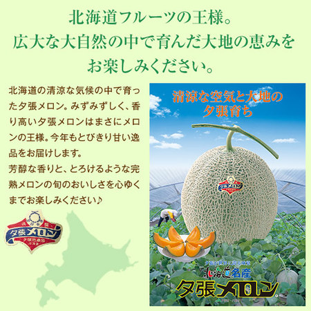 ≪早割★５４０円引き！お中元ギフト≫夕張メロン（２玉・４．０ＫＧ）良品　７月上旬―７月下旬お届け