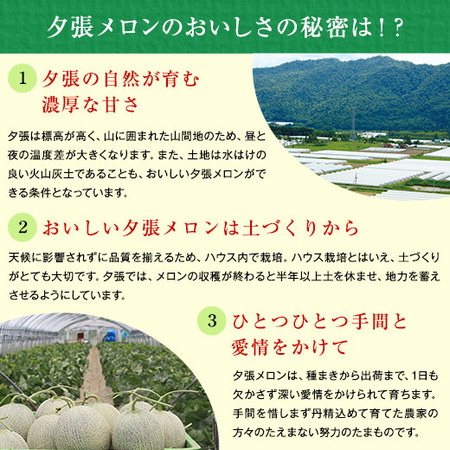 ≪お中元ギフト≫夕張メロン３玉・６．０ｋｇ【秀品】７月上旬より順次発送