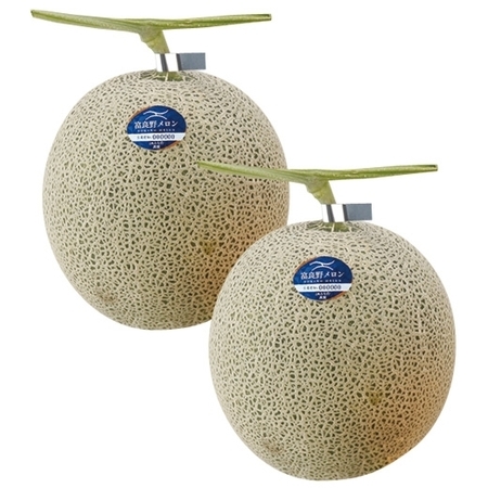 （早期）富良野メロン特大２玉４ＫＧ