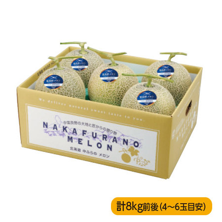 ≪お中元ギフト≫お買得！富良野メロン８ｋｇ　７月下旬頃―８月上旬頃お届け