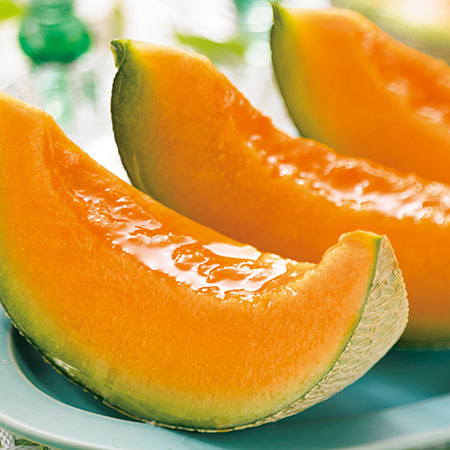 ≪お中元ギフト≫月形メロン　北の女王　２玉２．６ｋｇ　７月中旬より順次発送